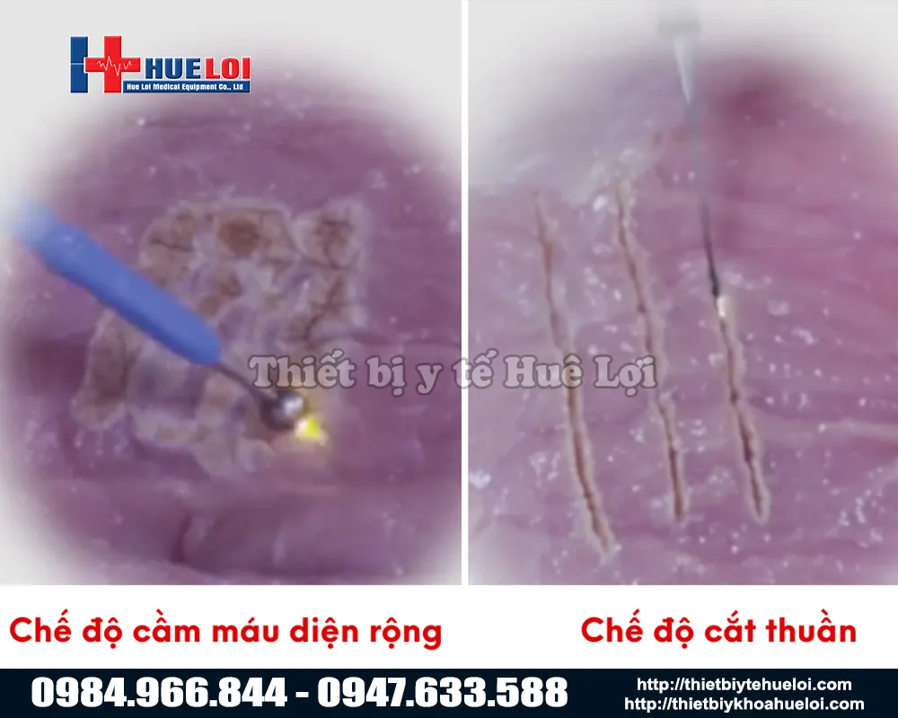 Chế độ cắt và cầm máu với dao mổ điện cao tần thú y đơn cực hiện đại