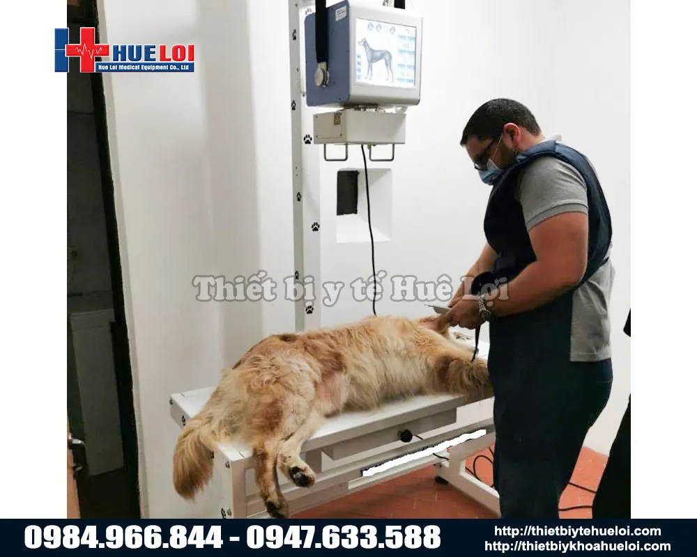 Máy x-quang tần số cao cho phòng khám thú y