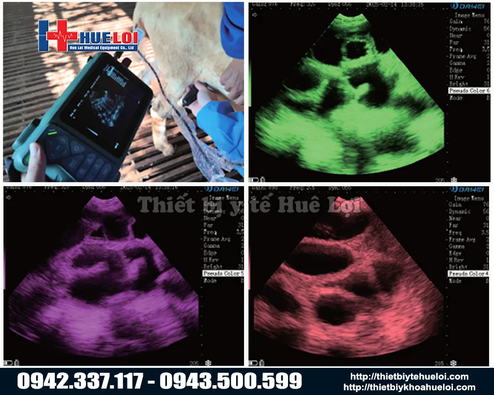 M&aacute;y si&ecirc;u &acirc;m thai cho heo n&aacute;i