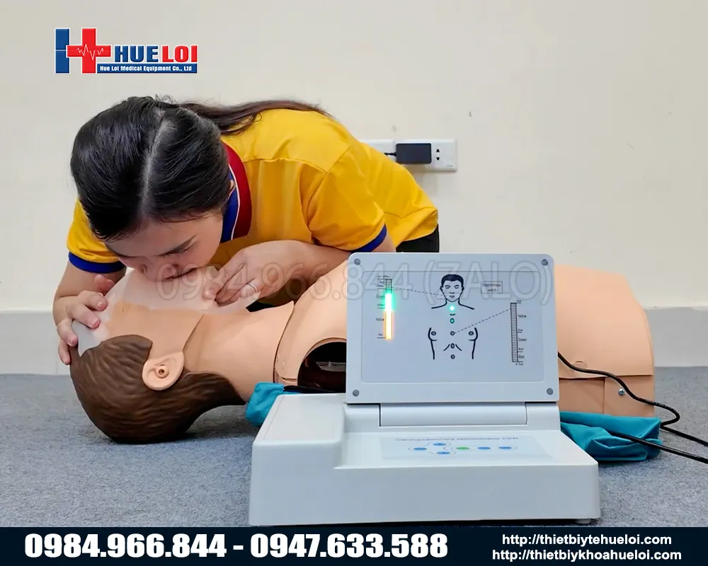 m&ocirc; h&igrave;nh thực h&agrave;nh &eacute;p tim thổi ngạt
