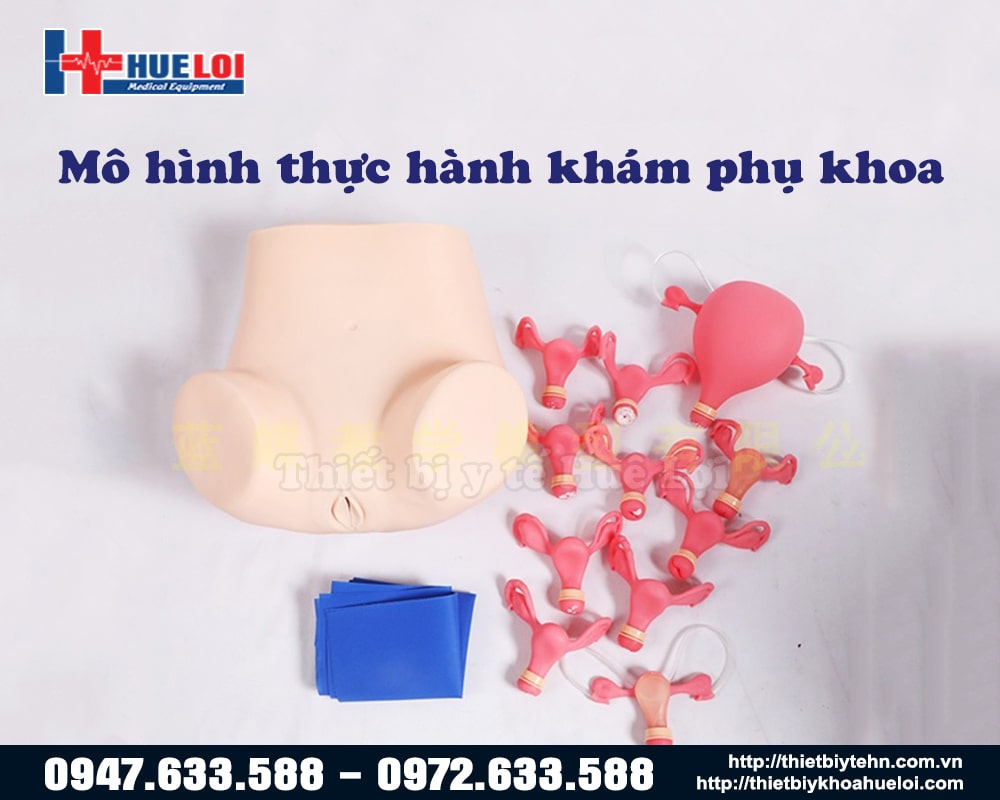 Mô hình thực hành khám tử cung