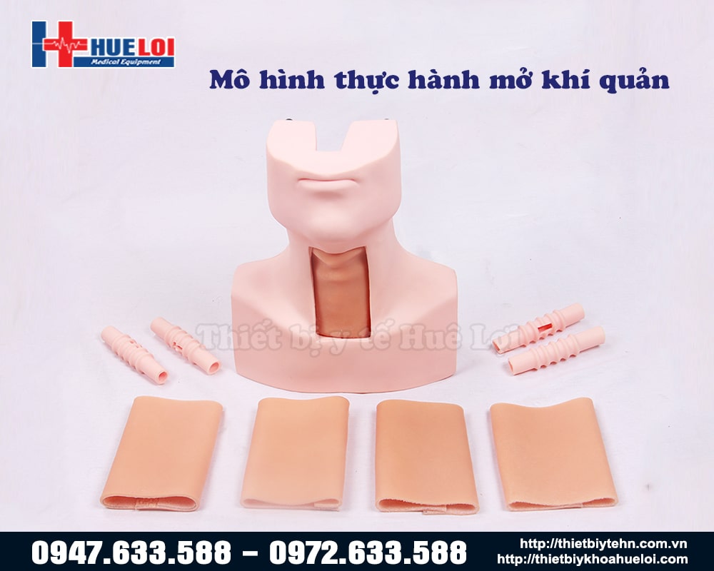 Mô hình đào tạo mở khí quản