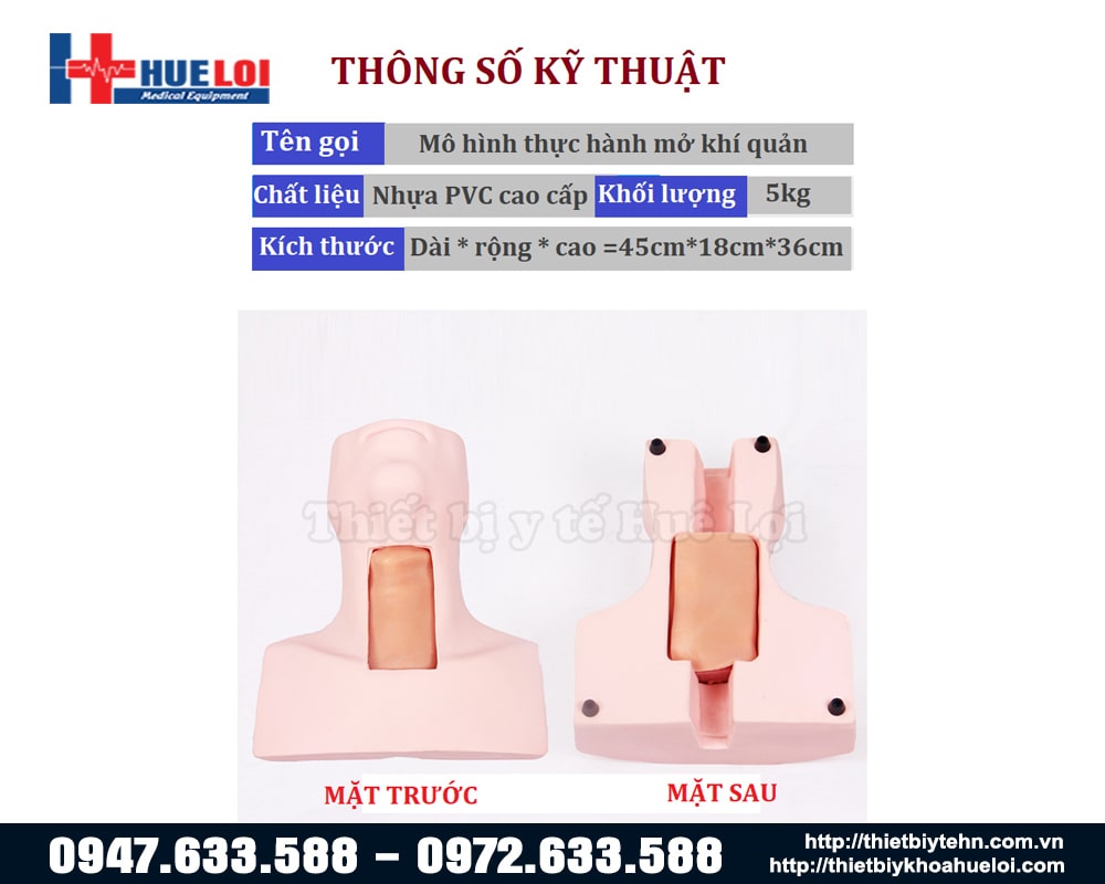 thông số kỹ thuật mô hình