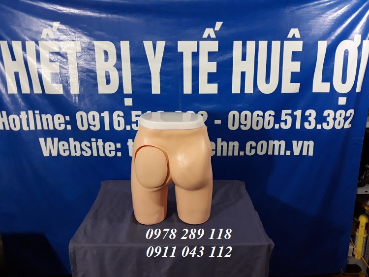 Mô hình thực hành tiêm mông (tiêm bắp sâu)