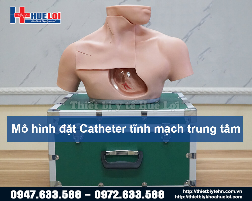 Mô hình thực hành đặt Catheter Tĩnh mạch trung tâm