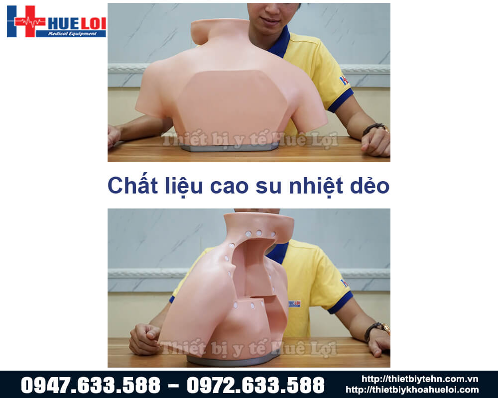 mô hình thực hành đặt tĩnh mạch trung tâm