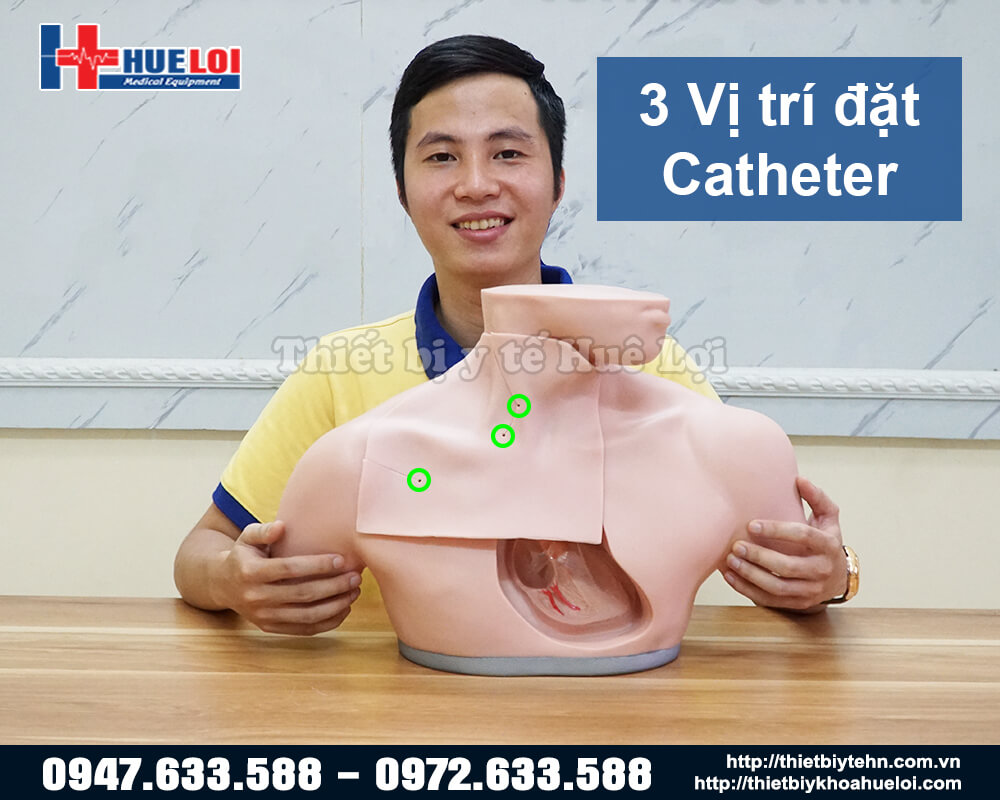 mô hình hướng dẫn đặt catheter tĩnh mạch trung tâm