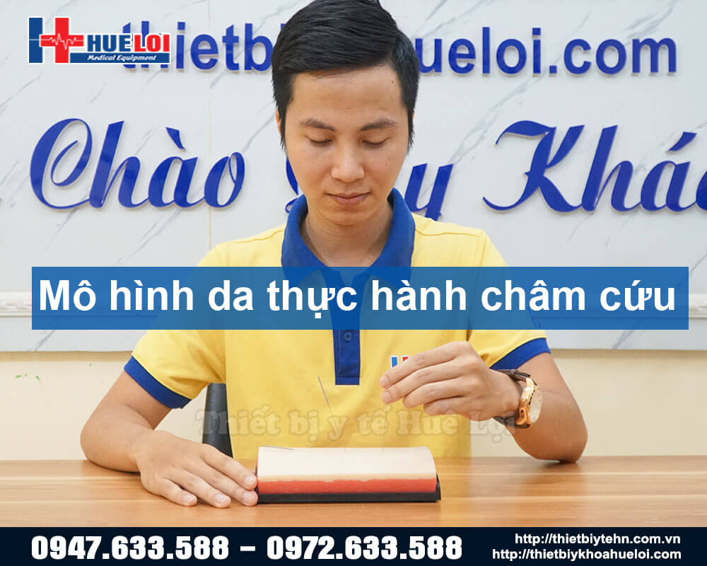 Mô hình thực hành châm cứu trên da người